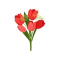 Bouquet of fresh tulips with red petals and green leaves. Beautiful garden flower. Nature theme. Flat vector design Royalty Free Stock Photo