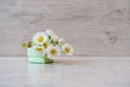 Bouquet of fresh white Marguerite daisy flowers and small gift box lying on light background. Spring or summer beautiful still Royalty Free Stock Photo
