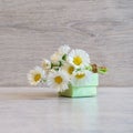 Bouquet of fresh white Marguerite daisy flowers and small gift box lying on light background. Spring or summer beautiful still Royalty Free Stock Photo