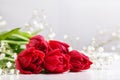 Bouquet of fresh white tulips covered with dew drops on white background. Tulip petals covered with water drops