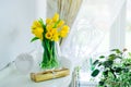 Bouquet of fresh yellow spring tulips and daffodils flowers, golden gift box and heart shaped frame on the chest drawers in light Royalty Free Stock Photo