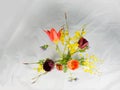 Bouquet of freshly cut spring flowers in glass vase against cr Royalty Free Stock Photo