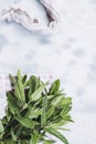 Bouquet of freshly picked mint from the aromatic garden Royalty Free Stock Photo