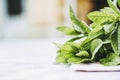 Bouquet of freshly picked mint from the aromatic garden Royalty Free Stock Photo