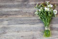 Bouquet of Garden Small Camomiles