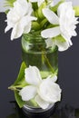 Bouquet of Gardenias Royalty Free Stock Photo