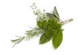 Bouquet garni Royalty Free Stock Photo