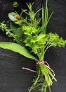 Bouquet garni of fresh herbs