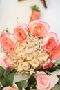 A bouquet of gentle pink roses Royalty Free Stock Photo