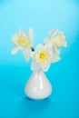Bouquet of gentle, spring, white narcissuses Royalty Free Stock Photo