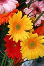 Bouquet of gerbera