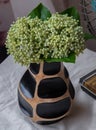 Bouquet of green in Handmade wooden vase and Vintage fan on white textured table cloth with old cement wall Royalty Free Stock Photo