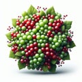 bouquet of green and red grapes with grape leaves forming a ring around them.