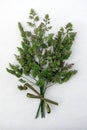 Bouquet of green spikelets of grass with a bow