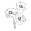 Bouquet of hand drawn contour wildflower poppies. Sketch for coloring