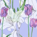 Graphic flowers blue tulip with lily on a blue background. Floral seamless pattern. Royalty Free Stock Photo