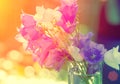 Bouquet of harebell flowers in a glass