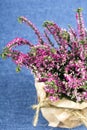 Bouquet of heather Royalty Free Stock Photo