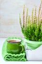 Bouquet of heather, tea mug and knitted scarf Royalty Free Stock Photo