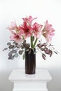 bouquet hippeastrum flowers vase white background Royalty Free Stock Photo