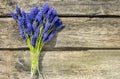 Bouquet hyacinths in a gift