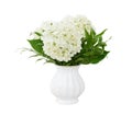 Bouquet with hydrangea flowers and italian ruscus in a white vase isolated on white Royalty Free Stock Photo