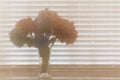 Bouquet of hydrangea flowers in a vase behind a screen Royalty Free Stock Photo