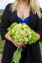 Bouquet hydrangea in the hands