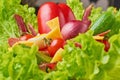 Bouquet with ingredients for healthy nutririon or diet. Lettuce with eggs and fresh vegetables closeup