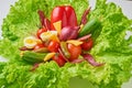 Bouquet with ingredients for healthy nutririon or diet. Lettuce with eggs and fresh vegetables closeup