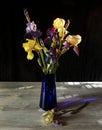 Bouquet of irises in a blue vase