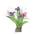 Bouquet with irises and tulips Royalty Free Stock Photo