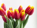 Bouquet red yellow tulips in vase Royalty Free Stock Photo