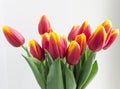Bouquet isolated red yellow tulips in vase Royalty Free Stock Photo