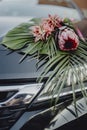 A bouquet of king protea and red pineapples on a car hood Royalty Free Stock Photo