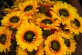 A bouquet of large blooming sunflower fake flowers