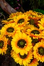 A bouquet of large blooming sunflower fake flowers