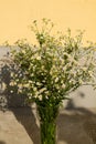 Bouquet of a large number of small daisies