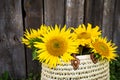 A bouquet of large sunflowers in a straw bag is standing near a wooden old house Royalty Free Stock Photo