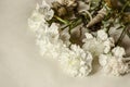 Bouquet of large white carnations with shells and beads covered light cloth