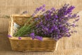Bouquet of lavagna in the basket Royalty Free Stock Photo