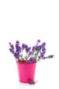 Bouquet Lavender