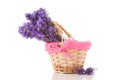 Bouquet Lavender in basket