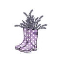 Bouquet of lavender in a beautiful polka dot rubber boots. Vector illustration. Spring flowers.