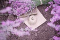 A bouquet of lavender, book and a ball of twine