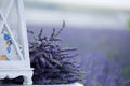 Bouquet of lavender flowers on a background of a lavender field Royalty Free Stock Photo