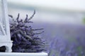 Bouquet of lavender flowers on a background of a lavender field Royalty Free Stock Photo