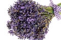Bouquet of lavender flowers cut