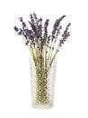 Bouquet of lavender flowers in glass vase Royalty Free Stock Photo