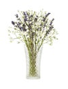 Bouquet of lavender flowers and gypsophila in glass vase Royalty Free Stock Photo
